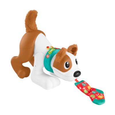 Fisher-Price Brinquedo para Bebês Cachorrinho Engatinha Comigo